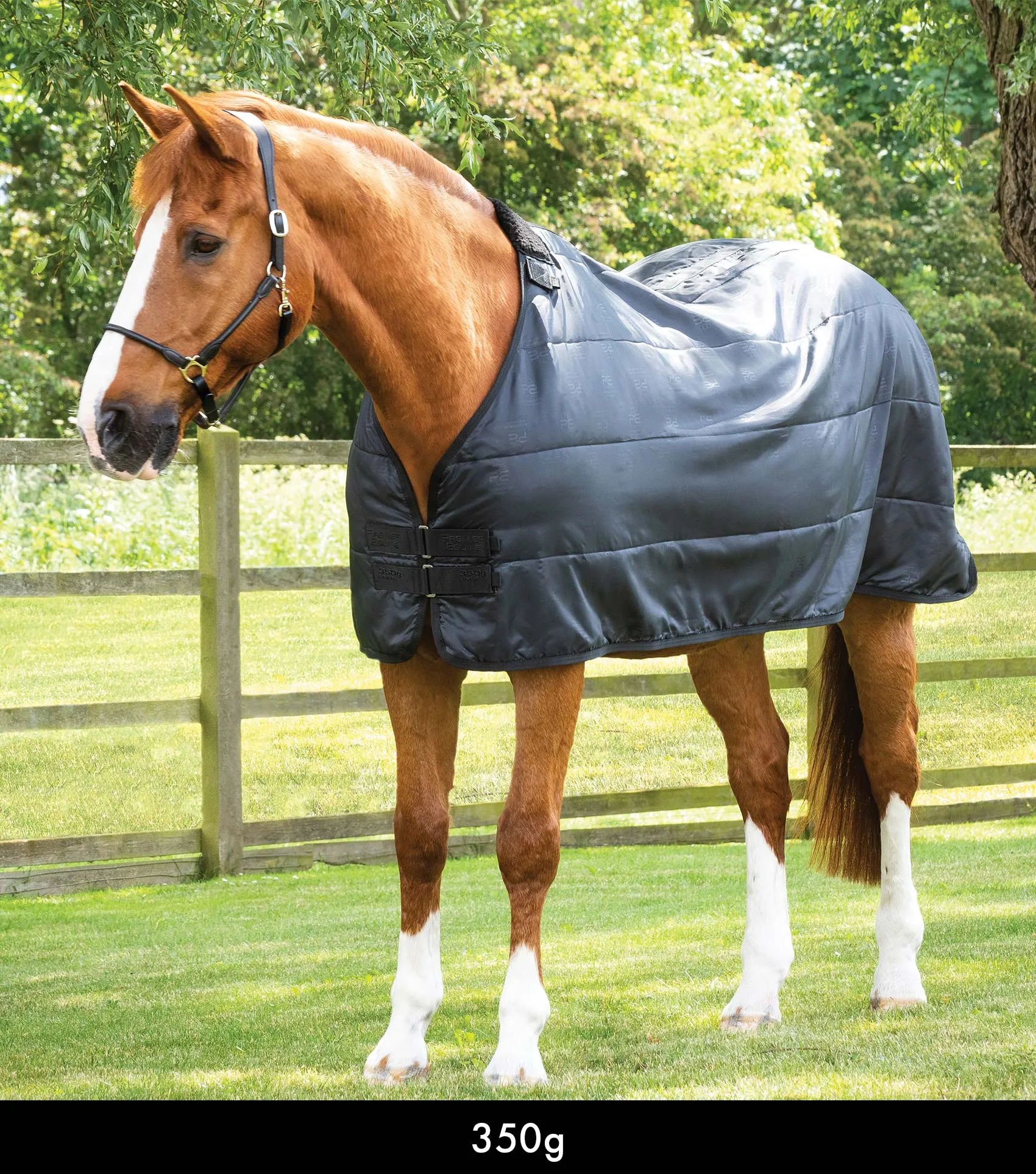 350g Horse Rug Liner