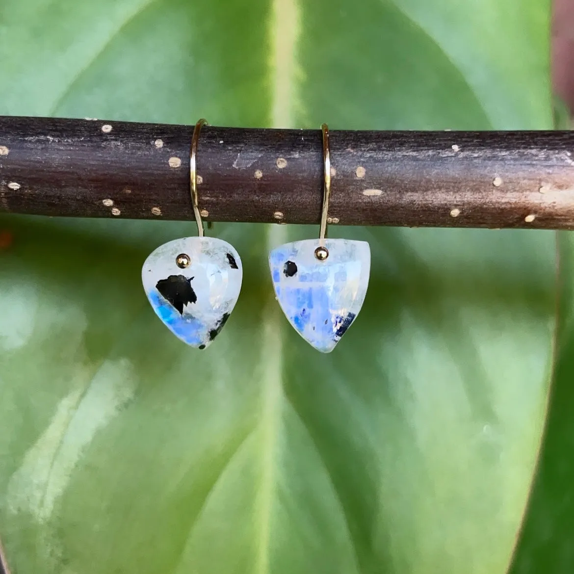 Petite Heart Shield earrings