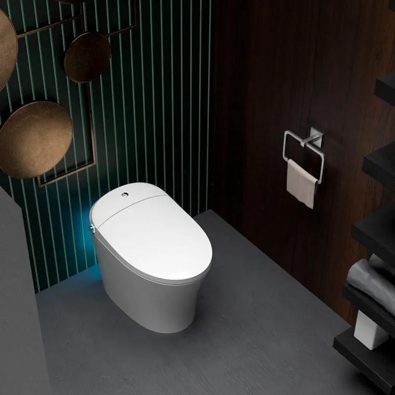 Swan S Pro Smart Bidet Toilet